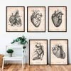 Vintage Heart Anatomy - Set Of 5 -Codex Anatomicus Shop 1 2 436261ad 5276 42d0 ba30 d8bb7a524de2