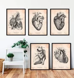 Vintage Heart Anatomy - Set Of 5