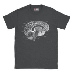 Brain Unisex T-Shirt - Chalkboard 9 Brain Unisex T-Shirt - Chalkboard -Codex Anatomicus Shop 16 1c7ebdec 698f 4213 b49e e0ec0e1b6117