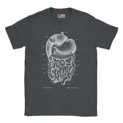 Digestive System Unisex T-Shirt - Chalkboard 8 Digestive System Unisex T-Shirt - Chalkboard -Codex Anatomicus Shop 19 5ea015fd bcbb 4e65 80c0 44ec0b2c740f