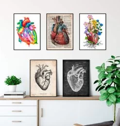 Heart Anatomy Mix - Set Of 5