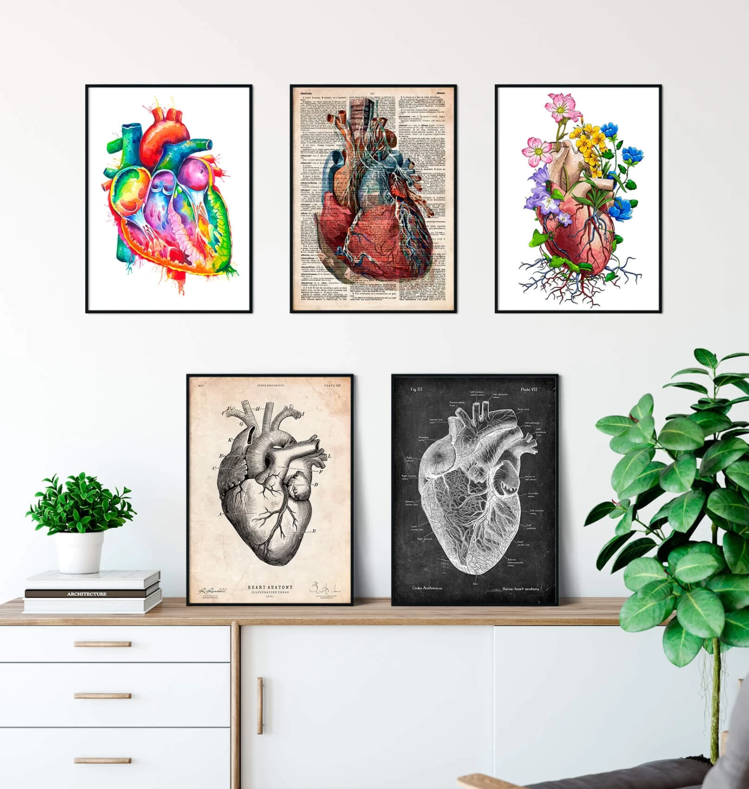 Heart Anatomy Mix - Set Of 5 3 Heart Anatomy Mix - Set Of 5