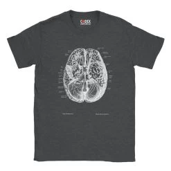Brain II Unisex T-Shirt - Chalkboard -Codex Anatomicus Shop 21 b4be236b 7b02 4abc 9cb2 08516ad8019c