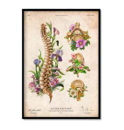 Spine & Back Set Of 3 - Floral - Vintage -Codex Anatomicus Shop 2 69cc1567 caed 46f5 8ef8 4423ab00f915
