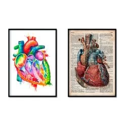 Heart Anatomy Mix - Set Of 5 9 Heart Anatomy Mix - Set Of 5 -Codex Anatomicus Shop 2 9b3a33b7 e365 43fd abd1 abfc814fd0b7