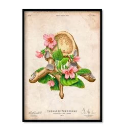 Vertebrae Set Of 3 - Floral - Vintage -Codex Anatomicus Shop 3 825a4cc4 3838 407d aec8 70d5fab902de