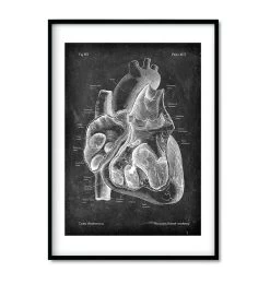 Chalkboard Heart Anatomy - Set Of 3 -Codex Anatomicus Shop 3 85827df3 667f 427f b730 cfddc6621327