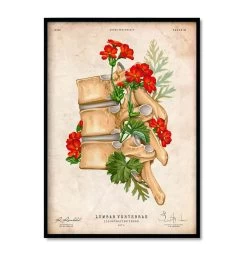 Spine & Back Set Of 3 - Floral - Vintage -Codex Anatomicus Shop 3 b3e2f358 da9a 4203 81b9 cd6dcd15c069