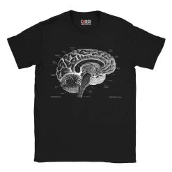 Brain Unisex T-Shirt - Chalkboard 8 Brain Unisex T-Shirt - Chalkboard -Codex Anatomicus Shop 4 ec6ecc7e df27 46f9 b6ff 4c573db7b289