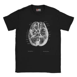 Brain II Unisex T-Shirt - Chalkboard -Codex Anatomicus Shop 9 e7486b73 3d6a 4ae7 a3fa 5043ec152d1e