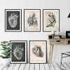 Vintage & Chalkboard Heart Anatomy - Set Of 5