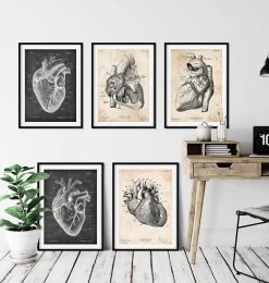 Vintage & Chalkboard Heart Anatomy - Set Of 5