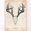 Deer Skull Print