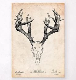 Deer Skull Print