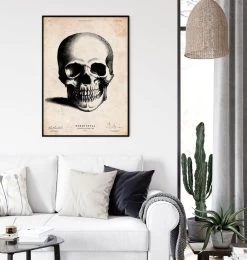Human Skull Print II -Codex Anatomicus Shop CA007 2