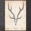 Deer Skull Print II -Codex Anatomicus Shop CA009 copy b06c9eb3 bd29 4ec6 be63 1a0265c50a44