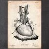 Heart Anatomy Print III -Codex Anatomicus Shop CA013 copy adfc2fa3 adc6 4bb8 8861 b0d6c41e4149
