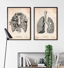 Rib Cage Print -Codex Anatomicus Shop CA022 3