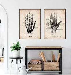 Human Hand Anatomy Print -Codex Anatomicus Shop CA025 3 481e8479 706a 4b7b 86e9 6d7642786ae8