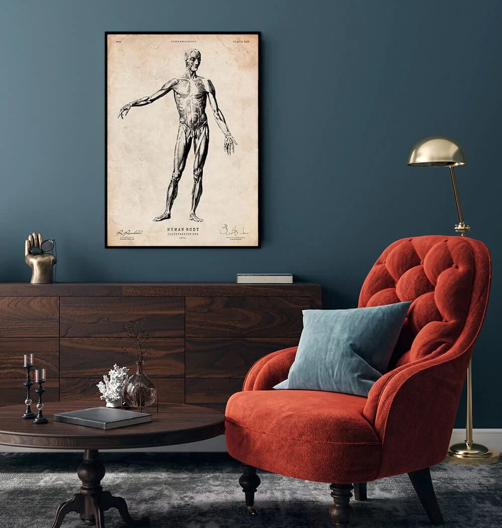 Full Body Human Anatomy Print 4 Full Body Human Anatomy Print - Image 2