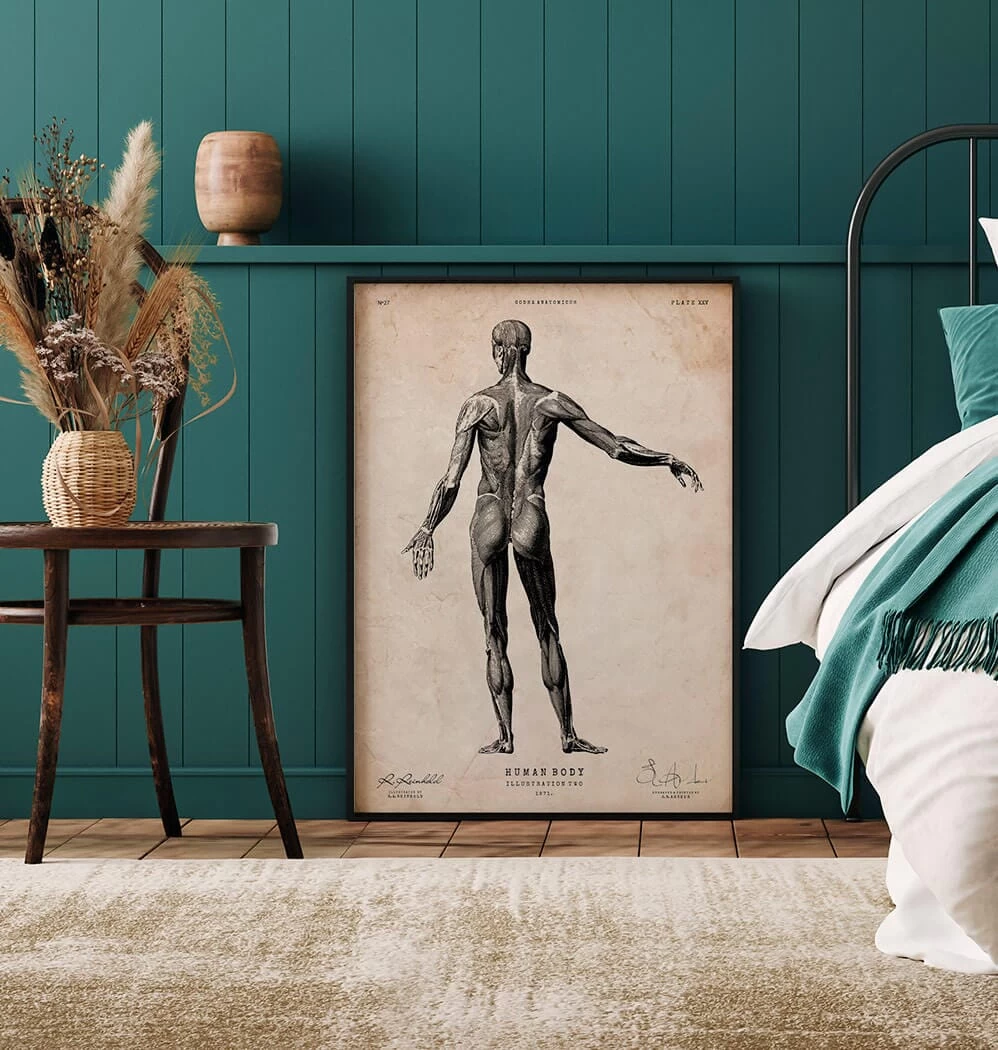 Full Body Human Anatomy Print II 4 Full Body Human Anatomy Print II - Image 2