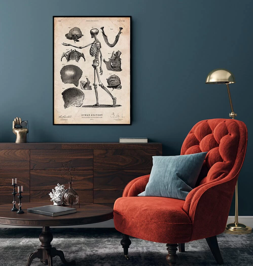 Human Skeleton Print 4 Human Skeleton Print - Image 2