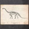 Dinosaur Skeleton Print - Apatosaurus 1 Dinosaur Skeleton Print - Apatosaurus -Codex Anatomicus Shop CA056 copy de7cb3f9 3985 43cf b278 e2e543f7bdff