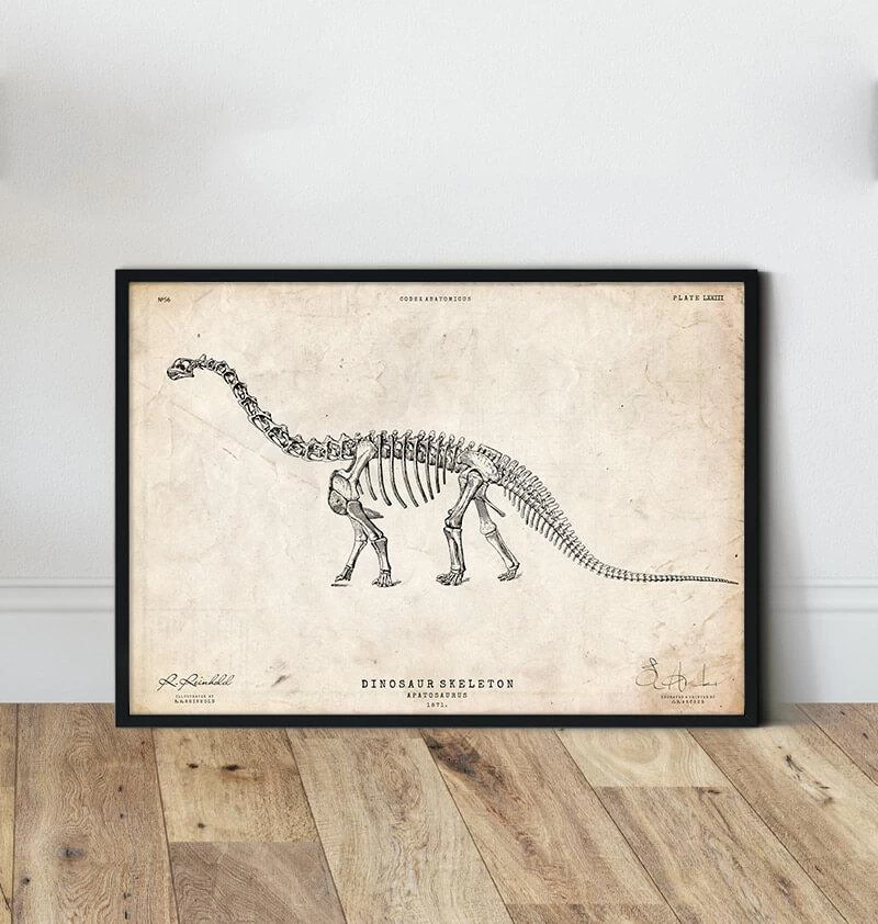Dinosaur Skeleton Print - Apatosaurus 4 Dinosaur Skeleton Print - Apatosaurus - Image 2