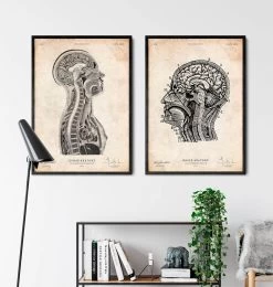 Brain And Spinal Cord Anatomy Print 7 Brain And Spinal Cord Anatomy Print -Codex Anatomicus Shop CA060 3