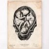 Fetus In A Womb Anatomy Print II -Codex Anatomicus Shop CA075 c61c2eb5 b433 4d7c a35a 342b386c4e1f