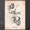 Fetus In A Womb Anatomy Print III -Codex Anatomicus Shop CA083 5865ea35 bd7a 4f3a 8b0c 6e0ff88e1cc2