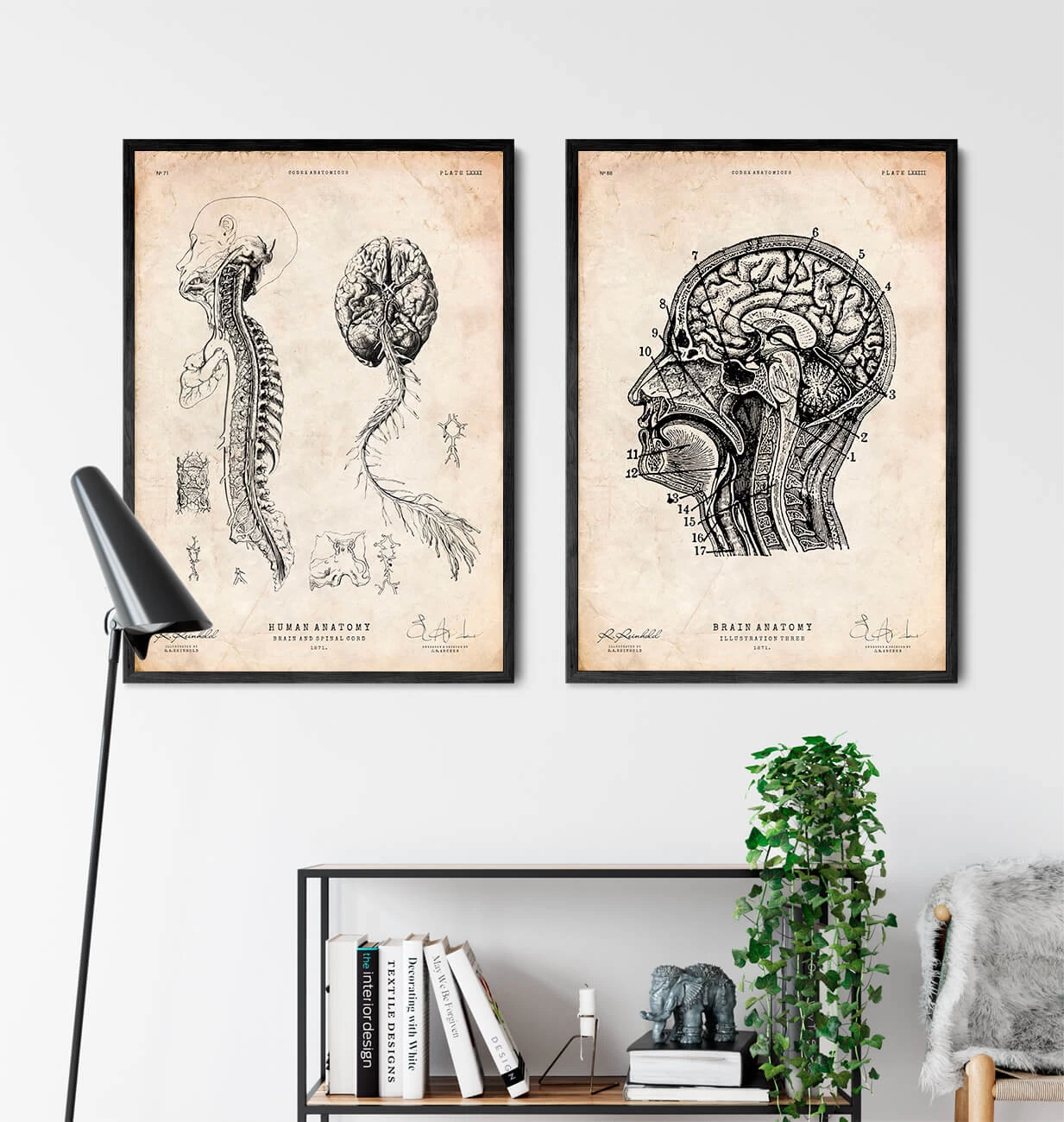 Brain Anatomy Print IV 5 Brain Anatomy Print IV - Image 3