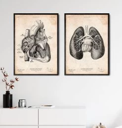 Lung Anatomy Print II 7 Lung Anatomy Print II -Codex Anatomicus Shop CA094 3