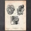 Facial Muscles Anatomy Print III -Codex Anatomicus Shop CA103 b62f2dac 08bf 4d00 b36c 3a7a2e2712ca