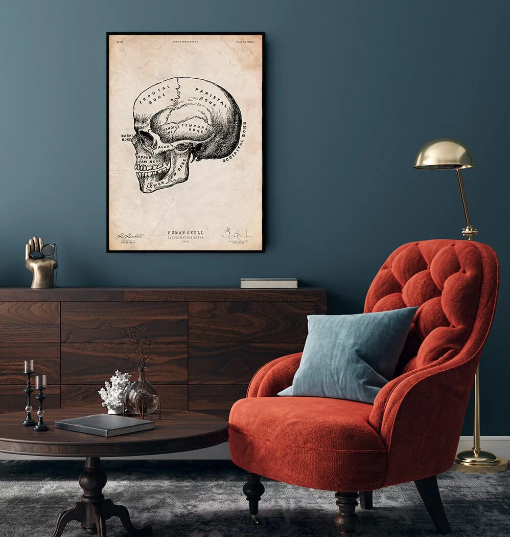 Human Skull Print IX 4 Human Skull Print IX - Image 2