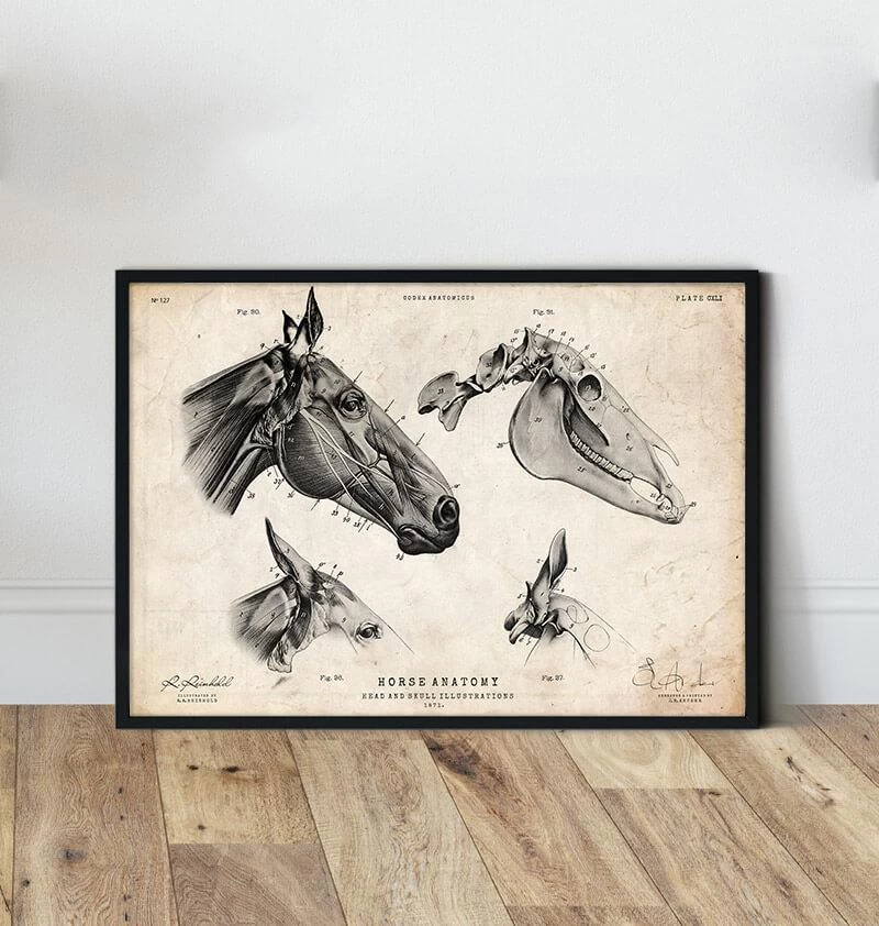 Horse Skull Print 4 Horse Skull Print - Image 2