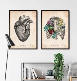 Rib Cage II - Floral - Vintage -Codex Anatomicus Shop CA134 3