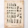Antique Teeth Chart Print 1 Antique Teeth Chart Print -Codex Anatomicus Shop CA138 e79c9ed1 354c 4bef ab8e fc3be42b627a