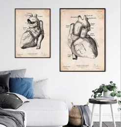 Heart Anatomy Poster II -Codex Anatomicus Shop CA145 3