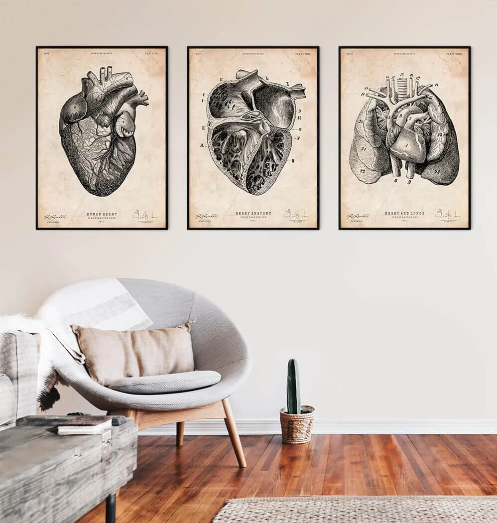 Heart Section Art Print II 5 Heart Section Art Print II - Image 3