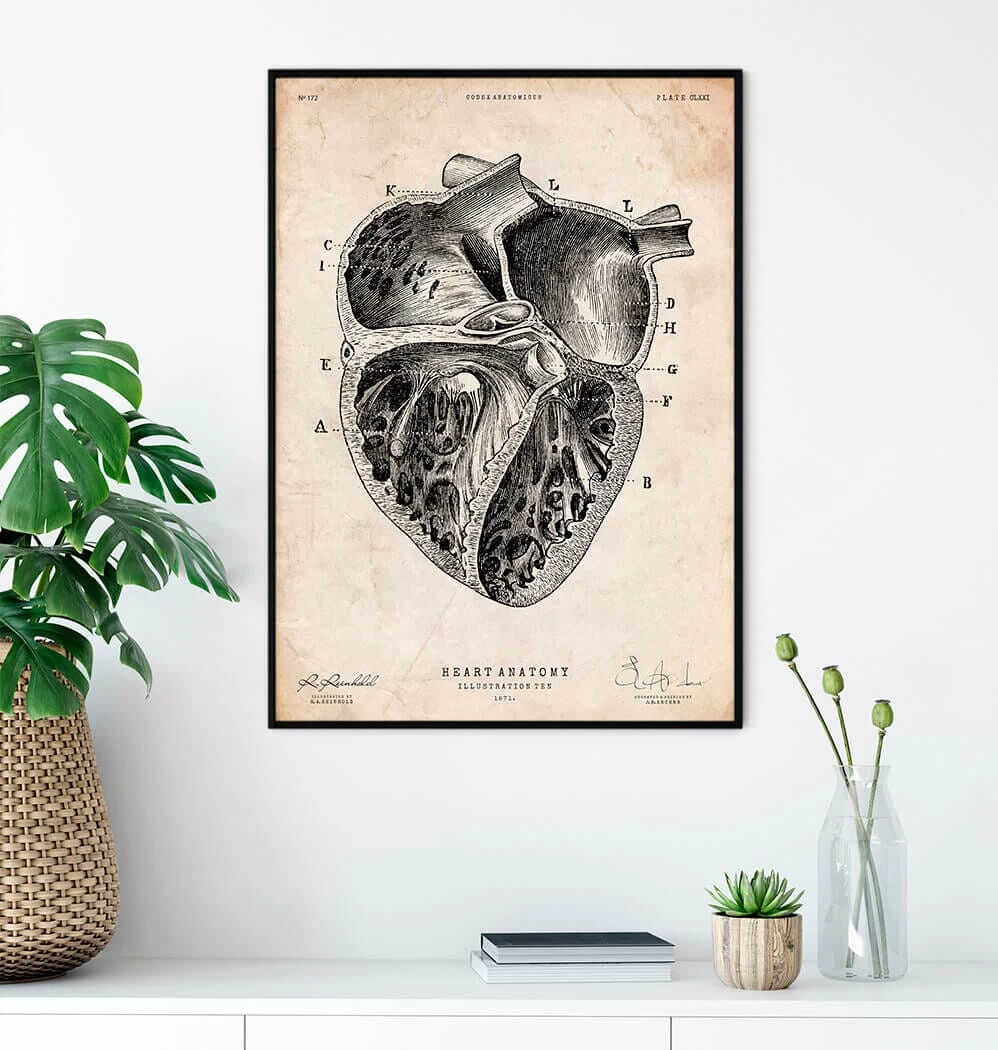 Heart Section Art Print II 4 Heart Section Art Print II - Image 2