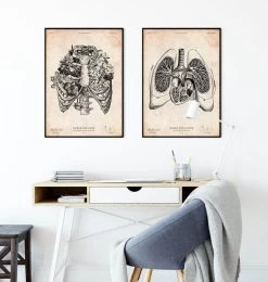 Heart And Lungs Anatomy Art V -Codex Anatomicus Shop CA153 3