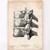 Anatomy Of The Spine Art Print 2 Anatomy Of The Spine Art Print -Codex Anatomicus Shop CA155 efcba674 7a73 4feb 93ea 4f58a7ec8cb6