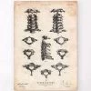 Spine Anatomy Art Poster -Codex Anatomicus Shop CA156 800660dd 2f49 4c15 8a67 36cb00253bac