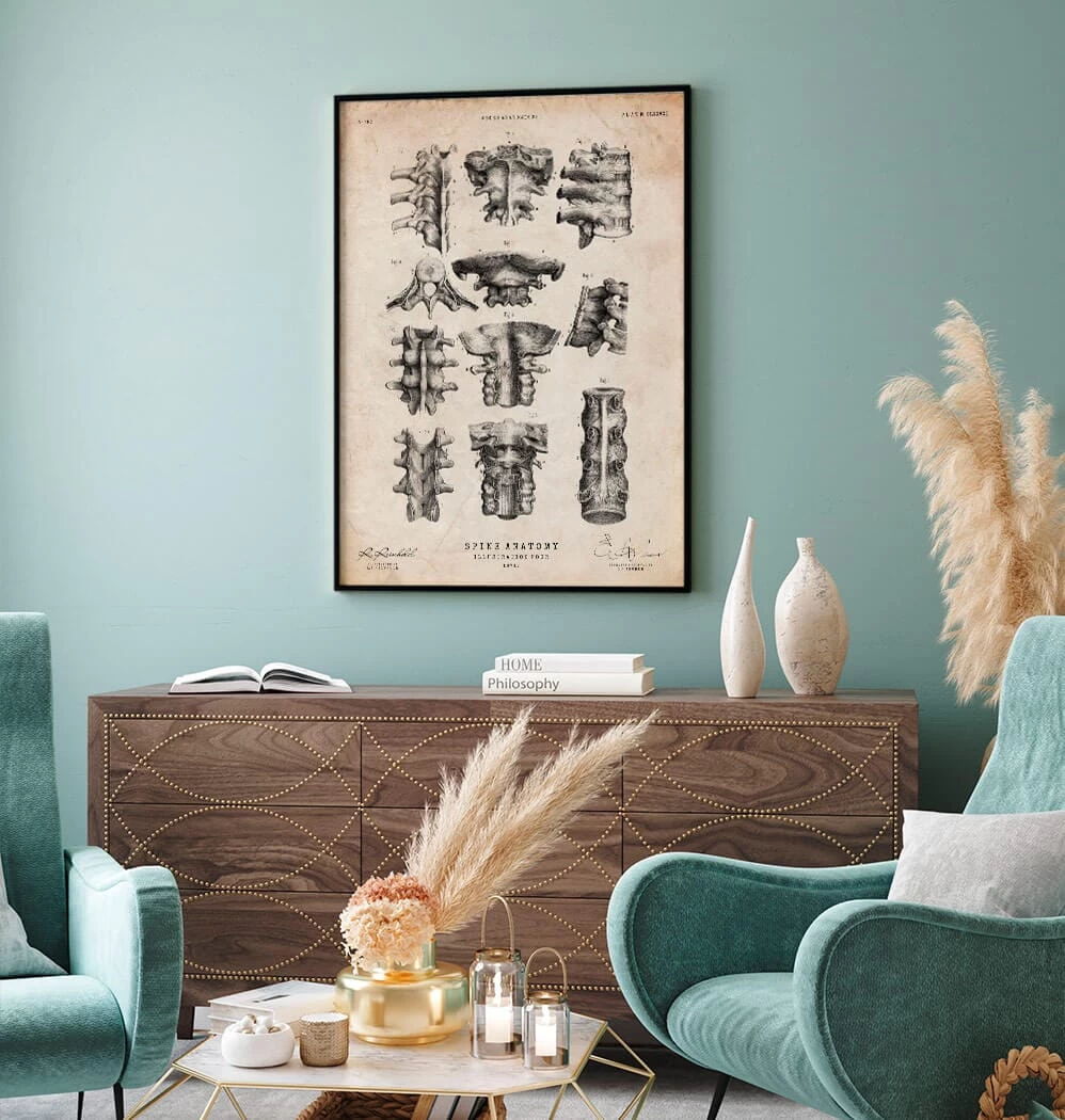 Spine Anatomy Poster 4 Spine Anatomy Poster - Image 2