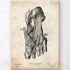 Foot Anatomy Art Print