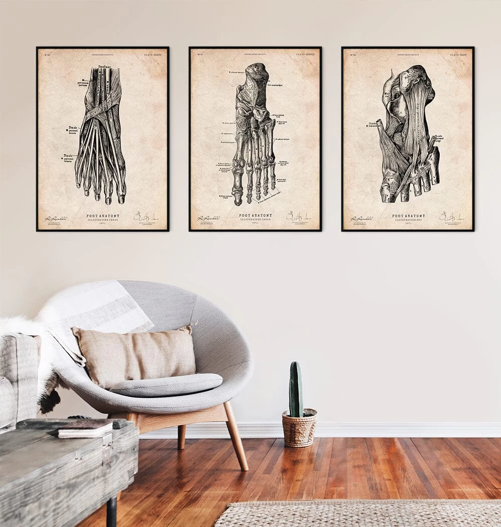 Foot Anatomy Art Print IV 5 Foot Anatomy Art Print IV - Image 3
