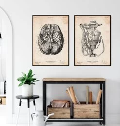 Thyroid Anatomy Art Print -Codex Anatomicus Shop CA180 3