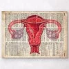 Uterus Anatomy Art - Dictionary Print 2 Uterus Anatomy Art - Dictionary Print -Codex Anatomicus Shop LOW POLY IMAGE HORIZONTAL
