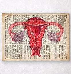 Uterus Anatomy Art - Dictionary Print